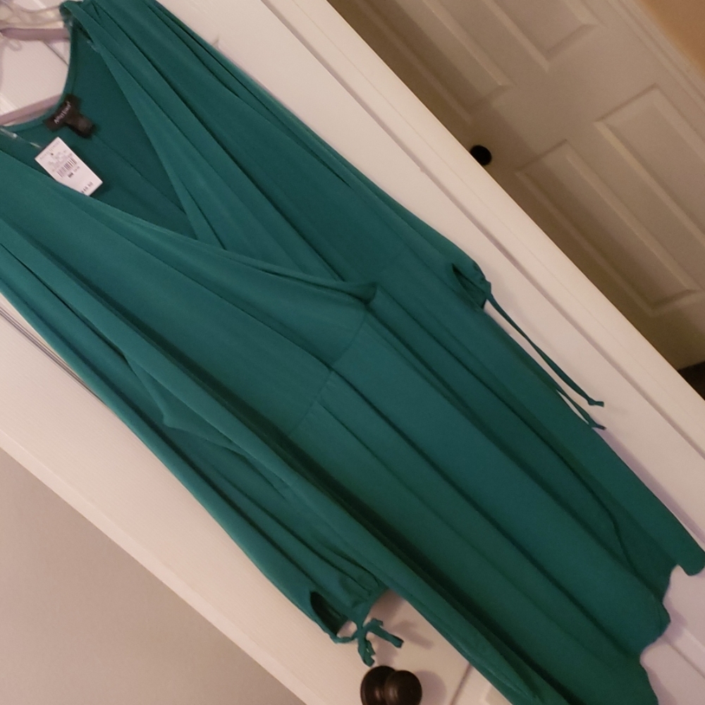 Ashley Stewart dress